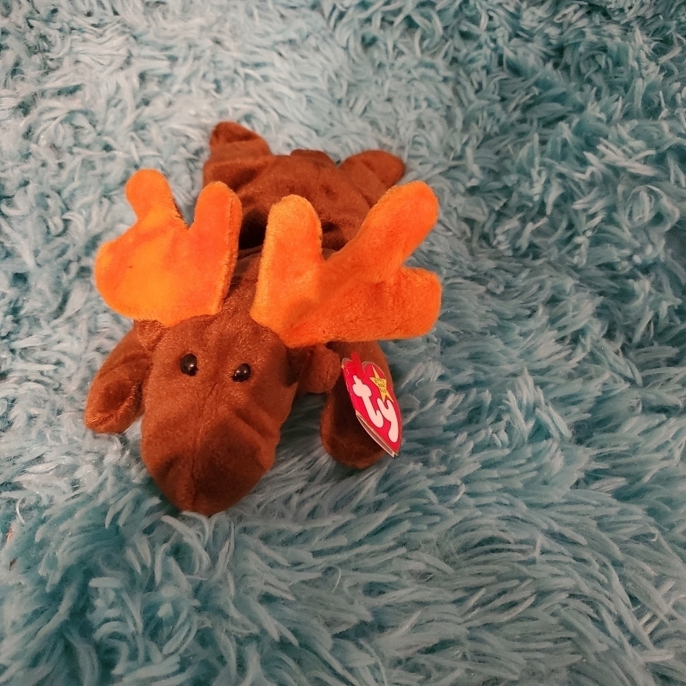 Ty Beanie Baby CHOCOLATE THE MOOSE